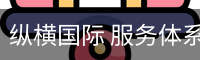 纵横国际